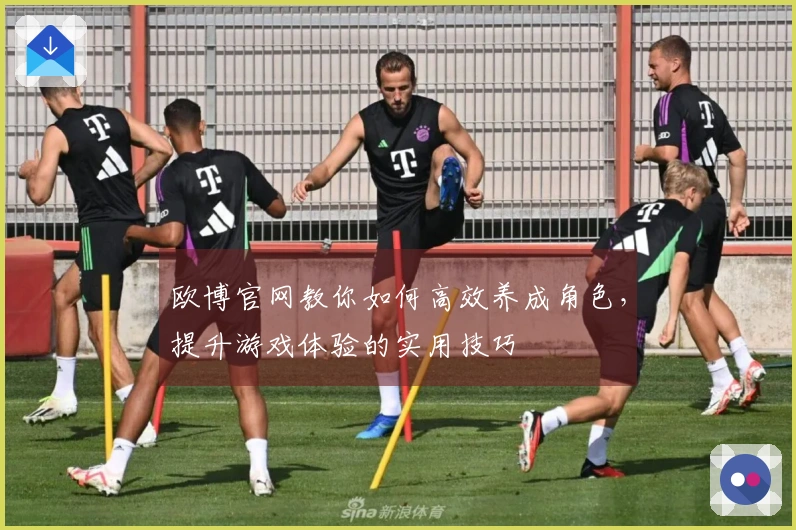 欧博官网教你如何高效养成角色，提升游戏体验的实用技巧